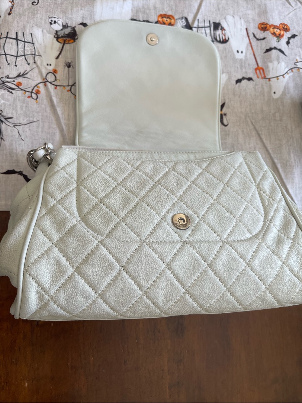 CHANEL TIMELESS ACCORDION BAG PURSE IN WINTER WHITE - Picture 16 of 16